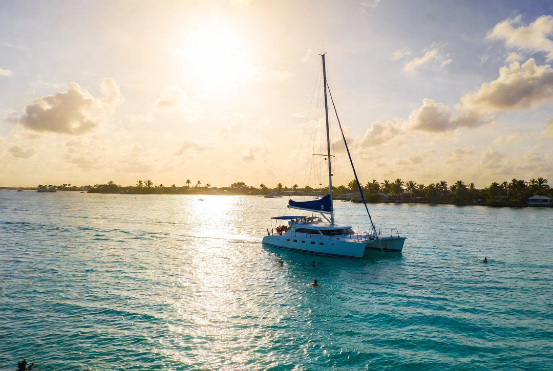 Large catamaran cruising by the Key West shoreline.