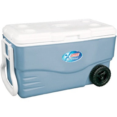 Ice Cooler (S, M, or L)