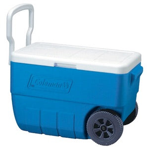 Ice Cooler (S, M, or L)