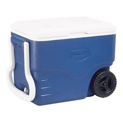 Ice Cooler (S, M, or L)