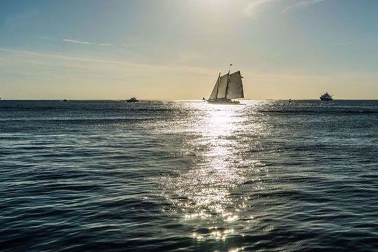 Classic Day Sail Aboard Schooner America 2.0