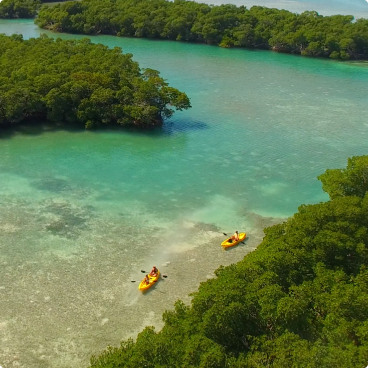 Kayak + Guided Snorkel & Morning Sail
