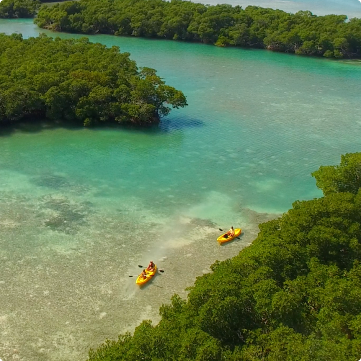 Kayak + Guided Snorkel & Morning Sail