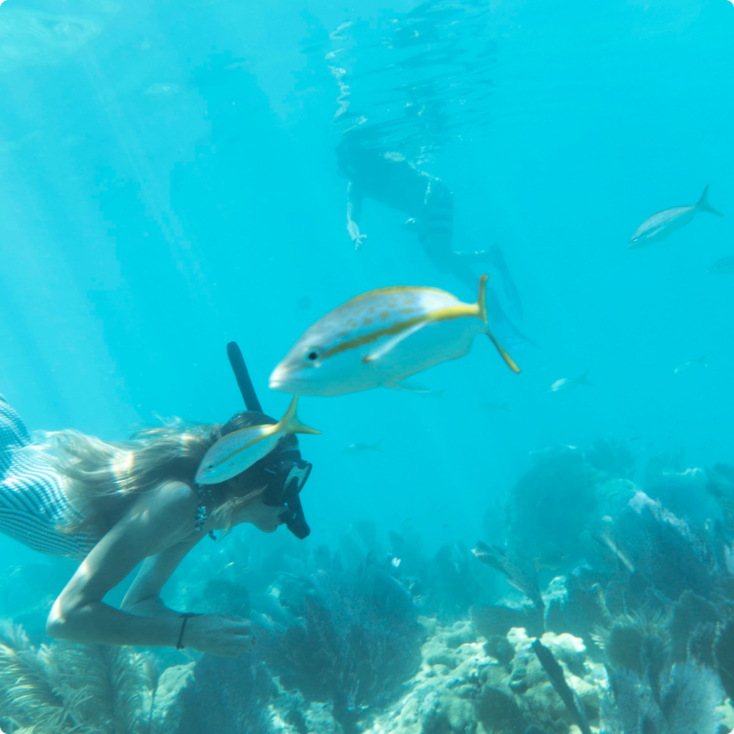 Kayak + Guided Snorkel & Morning Sail