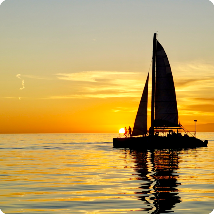 Dolphin Watch + Sunset Sail