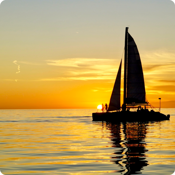 Dolphin Watch + Sunset Sail