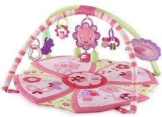 Infant Play Mat/Gym 2
