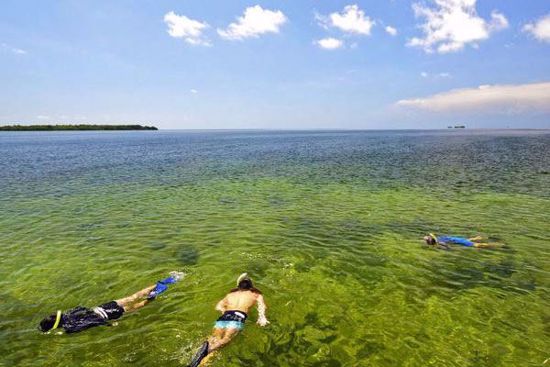 Key West Eco Tours aboard the Java Cat