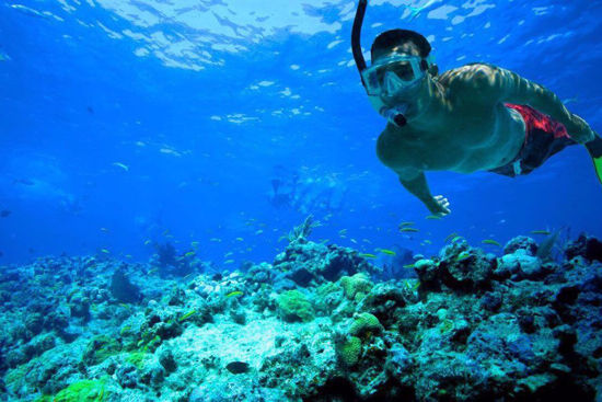 Morning Reef Snorkeling aboard the Fury