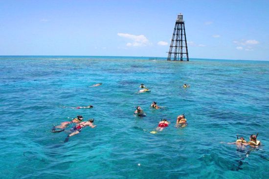 People swimming in clear blue water with a lighthouse in the background in Key West Florida