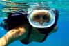 Person snorkeling with a fish underwater while on vacation in Key West Florida.