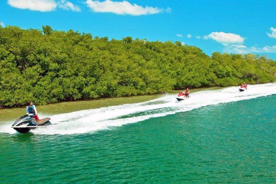 People on vacation riding jet skis on a clear blue water with a lush green forest in the background in Key West.