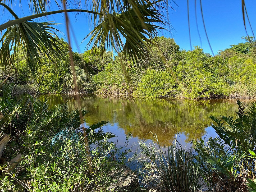 Key West Tropical Forest & Botanical Garden - Donation-Based Garden