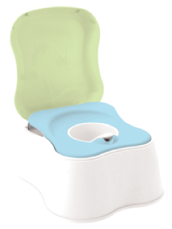 Potty Seat or Potty Chair